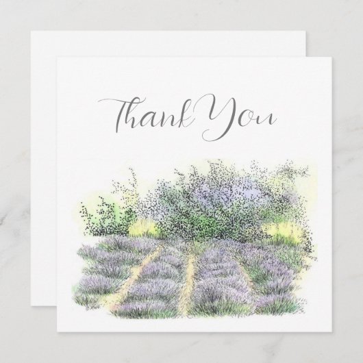 Lavendelfeld Dankeskarte (Vorne/Hinten)