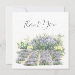 Lavendelfeld Dankeskarte