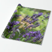 Lavendelfeld Geschenkpapier (Ungerollt)