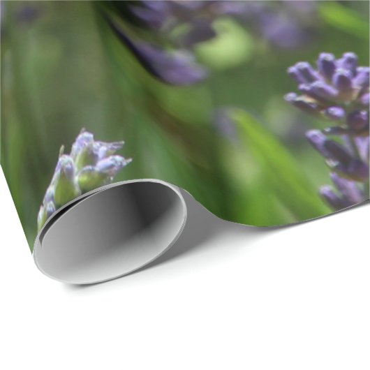 Lavendelfeld Geschenkpapier (Rolleneckpunkt)