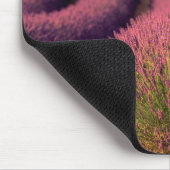 Lavendelfeld in der Hohen Provence, Frankreich 2 Mousepad (Ecke)