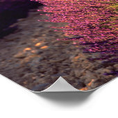 Lavendelfeld in der Hohen Provence, Frankreich 2 Poster (Ecke)