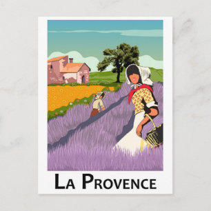 Lavendelfeld in der Provence, Frankreich Postkarte
