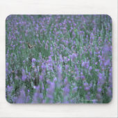 Lavendelfeld Mousepad (Vorne)