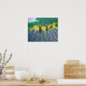 Lavendelfeld Poster (Küche)