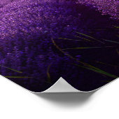 Lavendelfeld Poster (Ecke)