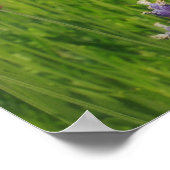 Lavendelfeld Poster (Ecke)