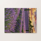 Lavendelfeld Puzzle (Horizontal)