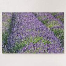 Lavendelfeld Puzzle