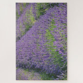 Lavendelfeld Puzzle (Vertikal)