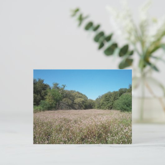 Lavendelfelder Postkarte (Stehend Vorderseite)