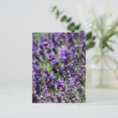 Lavendelfelder Postkarte (Stehend Vorderseite)