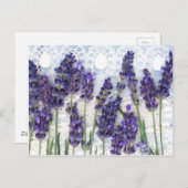 Lavendelhintergrund Postkarte (Vorne/Hinten)
