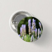 Lavendelknopf / Abzeichen Button (Vorne & Hinten)