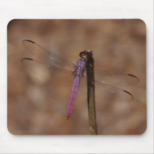 Lavendellibelle Mousepad