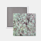 Lavendelmagnet Magnet (Vorderseite/Rückseite)