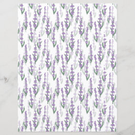 Lavendelprovenz lila Blume