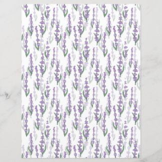 Lavendelprovenz lila Blume