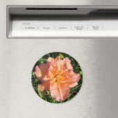 Lavendelrosa Doppelte Taglilien Magnet (In Situ (Geschirrspüler))