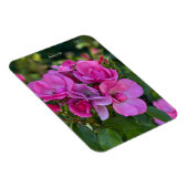 Lavendelrosa Rose Magnet (Rechte Seite)