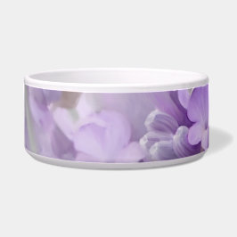 Lavendelträume Napf