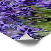 Lavendelträume Poster (Ecke)