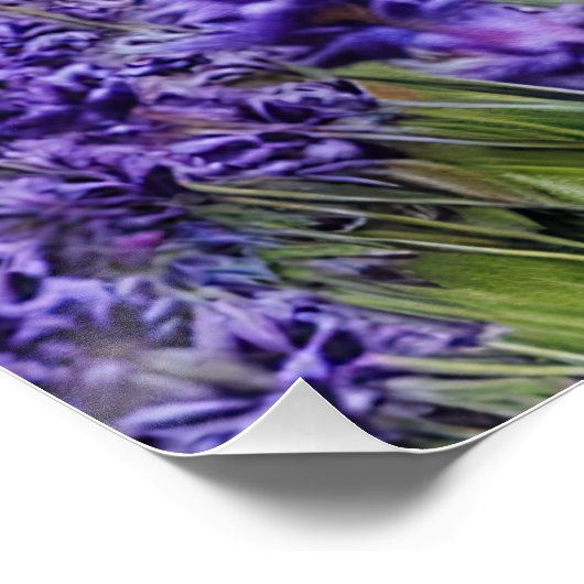 Lavendelträume Poster (Ecke)