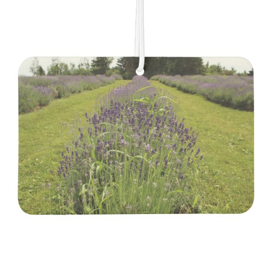 Lavender autolufterfrischer (Vorderseite)