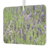 Lavender autolufterfrischer (Links)