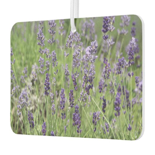 Lavender  autolufterfrischer (Links)