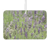 Lavender  autolufterfrischer (Vorderseite)