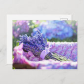 Lavender Basket Lila Frühjahrs-Wiese Postkarte (Vorne/Hinten)