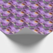 Lavender Bearded Iris Blume Nattern Muster   Geschenkpapier (Ecke)