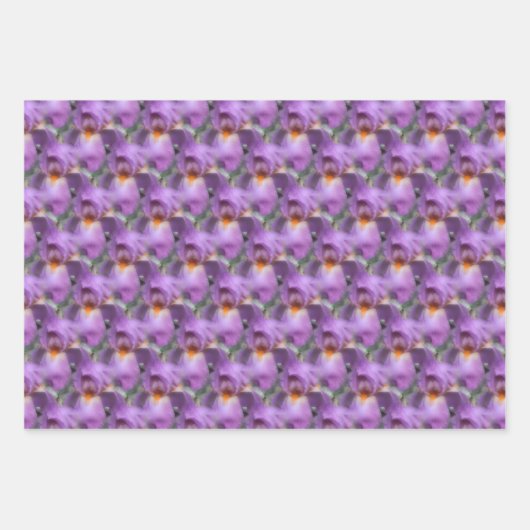Lavender Bearded Iris Blume Nattern Muster Geschenkpapier Set (Vorderseite)