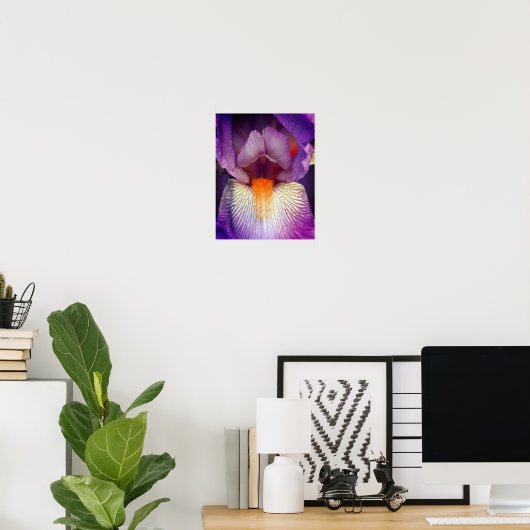 Lavender Bearded Iris Blume Petal Nah Poster (Heimbüro)
