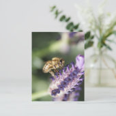 Lavender Bee Postkarte (Stehend Vorderseite)