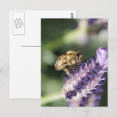 Lavender Bee Postkarte (Vorne/Hinten)