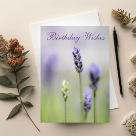 Lavender Birthday Wises Karte