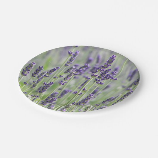 Lavender Blooms floral Pappteller (Schrägansicht)