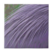 Lavender Blue Feathers Fliese (Vorderseite)