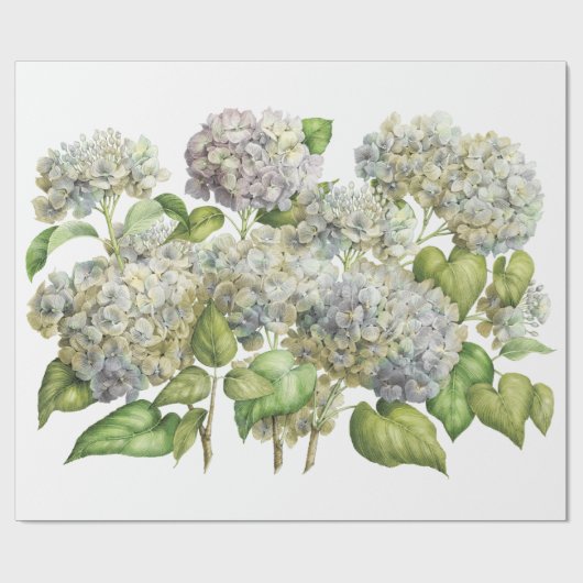 Lavender Blue Hydrangea Botanischer Blumenstrauß Geschenkpapier (Flach)