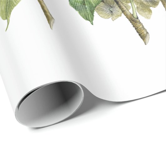 Lavender Blue Hydrangea Botanischer Blumenstrauß Geschenkpapier (Rolleneckpunkt)