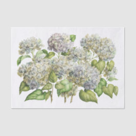 Lavender Blue Hydrangea Botanischer Blumenstrauß Seidenpapier