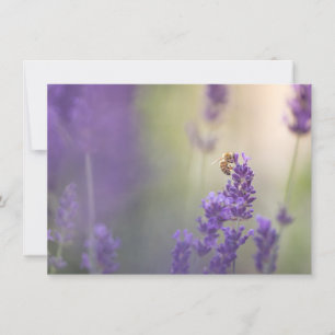 Lavender Blume Honeybee Naturokarte
