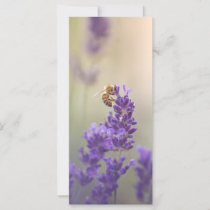 Lavender Blume Honeybee Naturokarte