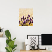 Lavender Blume in einem Gebiet, Provinz Siena, Poster (Heimbüro)