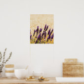 Lavender Blume in einem Gebiet, Provinz Siena, Poster (Küche)