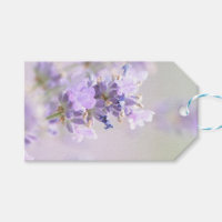 Lavender Bokeh Fotograf-Tag