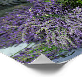 Lavender Bundles Poster (Ecke)