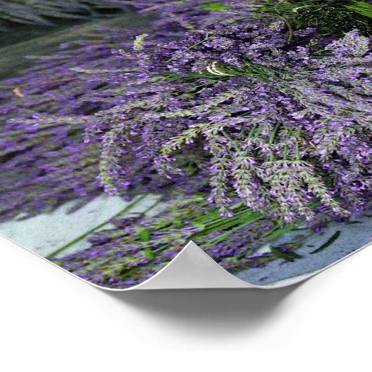Lavender Bundles Poster (Ecke)